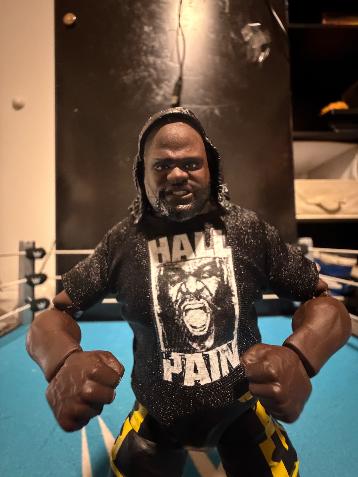 A wrestling figure wearing a Hall of Pain shirt